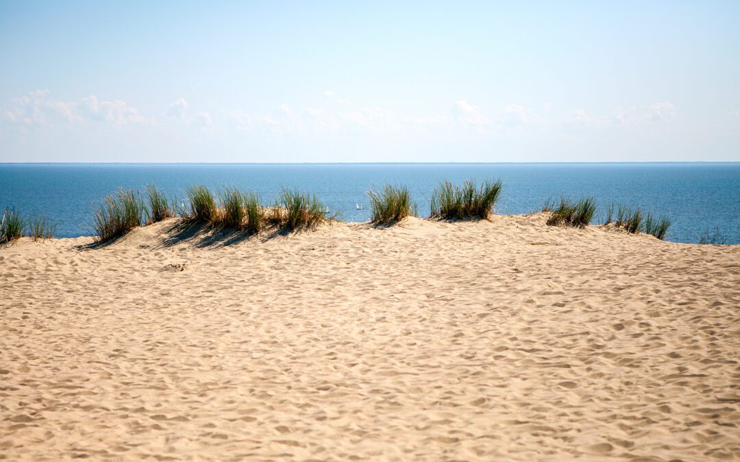 Comment calculer les congés payés annuels ?