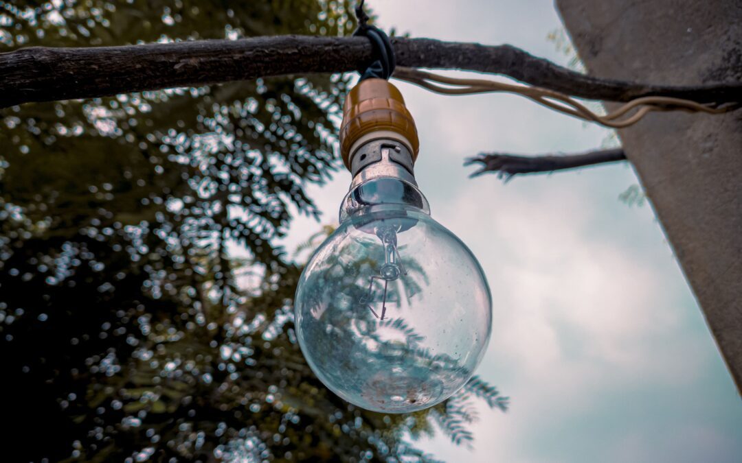 5 bonnes raisons de faire un bilan carbone pour son entreprise - Blog Wity comptabilité en ligne