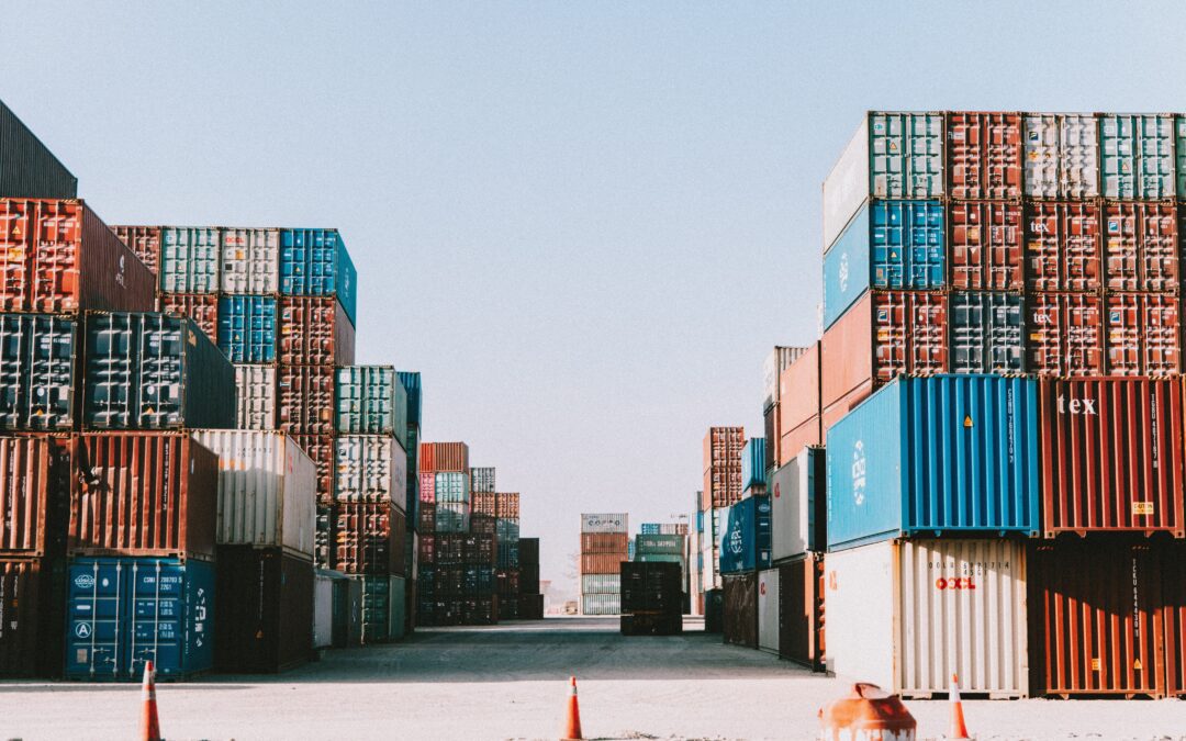 TVA à l’importation et autoliquidation : Nouveauté 2022