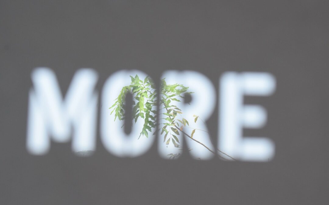 Comment devenir une société à mission en 2022 ?